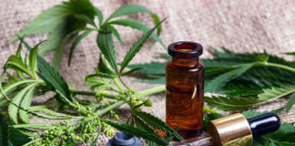 3 fakty o konopiach siewnych