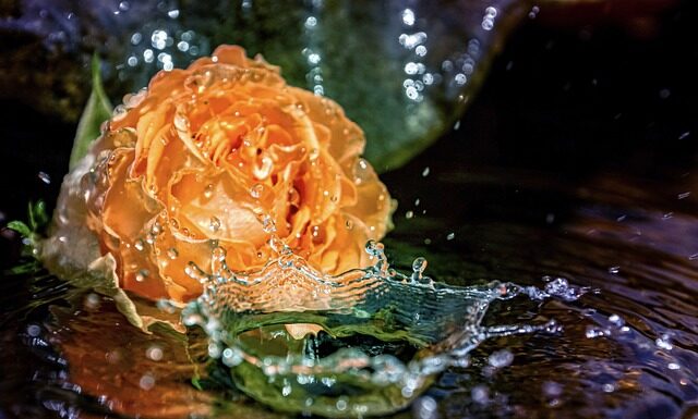 W czym moczyć skórki przed manicure?