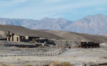 Czy boraks jest bezpieczny?