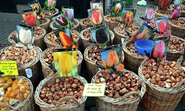 Co osłabia cebulki włosa? Co osłabia cebulki włosa?