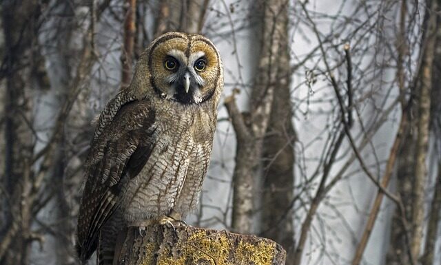 Ile kosztuje zrobienie hybrydy na paznokciach? Ile kosztuje zrobienie hybrydy na paznokciach?