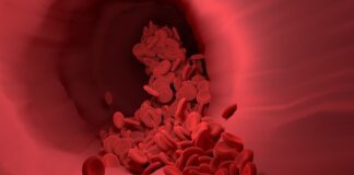 Czy 75D to to samo co 80C?