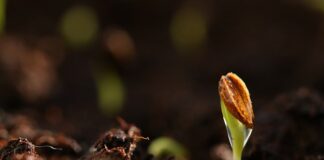 Czy można nakładać sam podkład bez pudru?