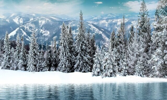 Co jest pierwsze top czy baza?