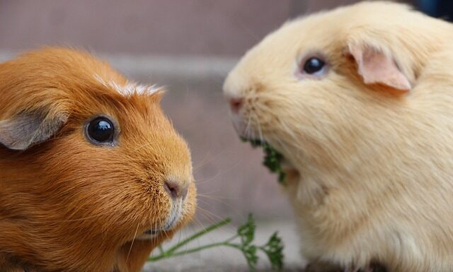 Co zrobić żeby dłonie były gładkie? Co zrobić żeby dłonie były gładkie?