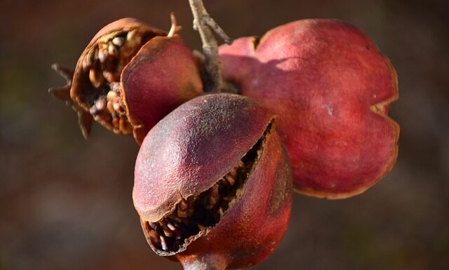 Czemu paznokcie żelowe pękają?