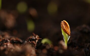 Jaki podkład pod cienie do powiek? Jaki podkład pod cienie do powiek?
