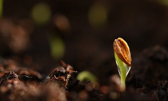 Jaki podkład pod cienie do powiek? Jaki podkład pod cienie do powiek?