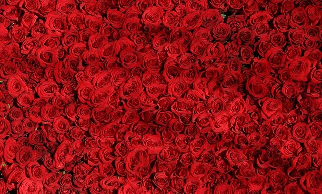 Czym się różni lotion od balsamu? Czym się różni lotion od balsamu?