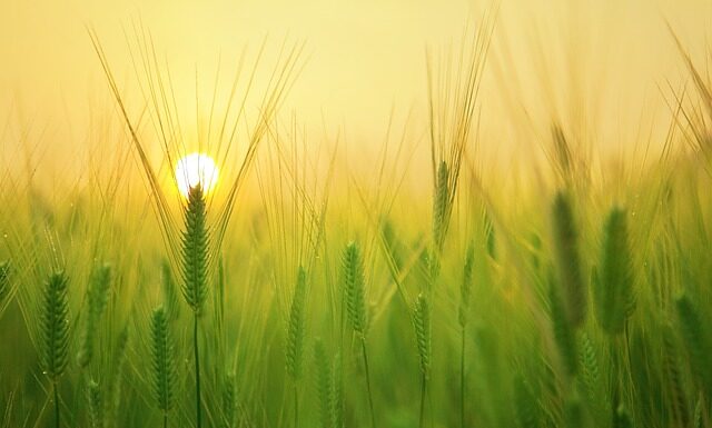 Jak wyglądać młodo w wieku 40 lat?