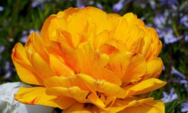 Czym Cieniujemy twarz?