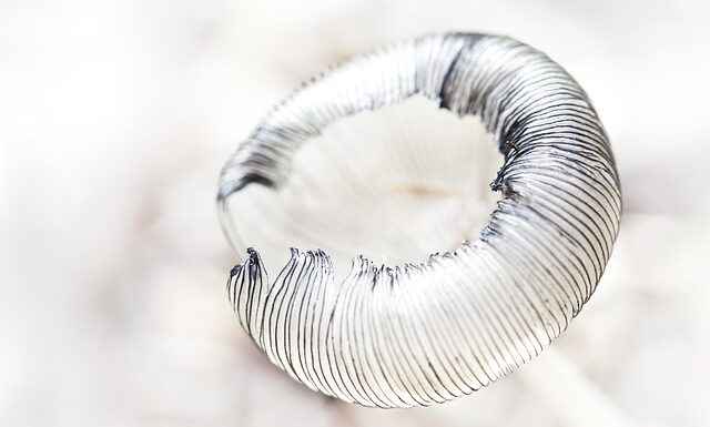 Jaki pędzel do kreski?