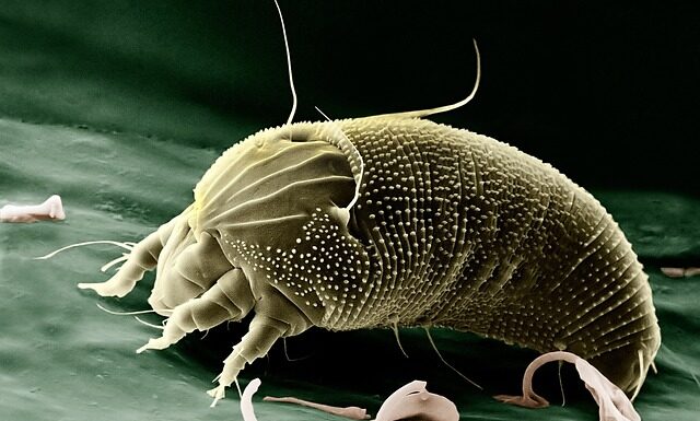 Jak wyglądają usta zaraz po powiększeniu? Jak wyglądają usta zaraz po powiększeniu?