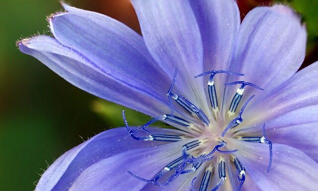 Czy warto kupić zamiennik perfum?