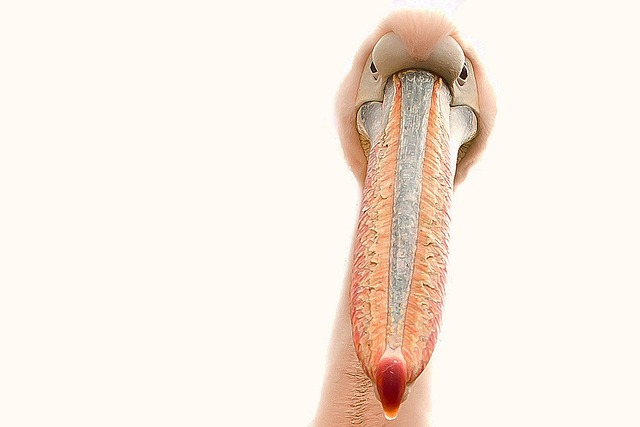 Co zrobić z paznokciami po hybrydzie? Co zrobić z paznokciami po hybrydzie?