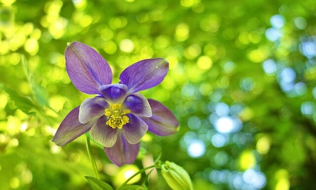 Po co się nosi czepek?