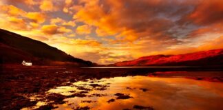 Z czego szyć majtki?