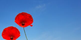 W jakim wieku powinno się golić miejsca intymne?