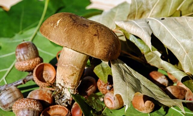 Czy wargi sromowe można depilować? Czy wargi sromowe można depilować?