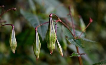 Kiedy używać balsamu? Kiedy używać balsamu?