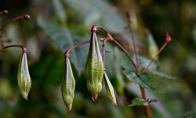 Kiedy używać balsamu? Kiedy używać balsamu?