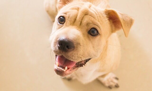 Jak poradzić sobie z obwisła skóra?