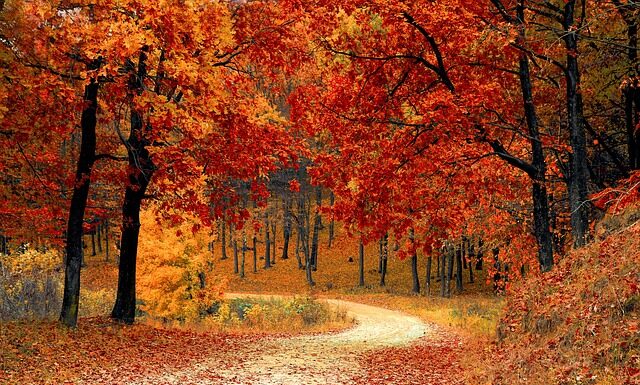 Kiedy kosmetyk jest naturalny? Kiedy kosmetyk jest naturalny?