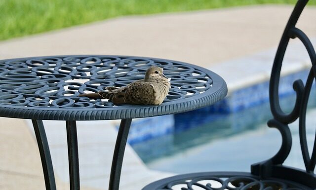 Jak nie zamoczyć włosów na basenie?