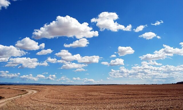 Jaki czepek żeby włosy były suche?