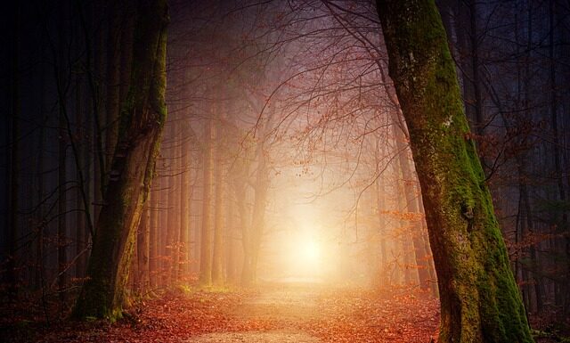 Co to znaczy cień foliowy? Co to znaczy cień foliowy?