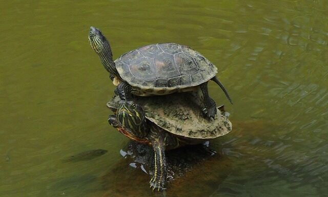 Jak prawidłowo nakładać bazę pod cienie?