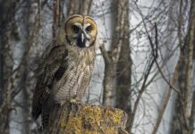 Kiedy żel a kiedy hybryda? Kiedy żel a kiedy hybryda?