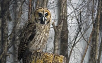 Kiedy żel a kiedy hybryda? Kiedy żel a kiedy hybryda?