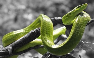 Co zrobić żeby kreska pod okiem się nie Rozmazywała? Co zrobić żeby kreska pod okiem się nie Rozmazywała?